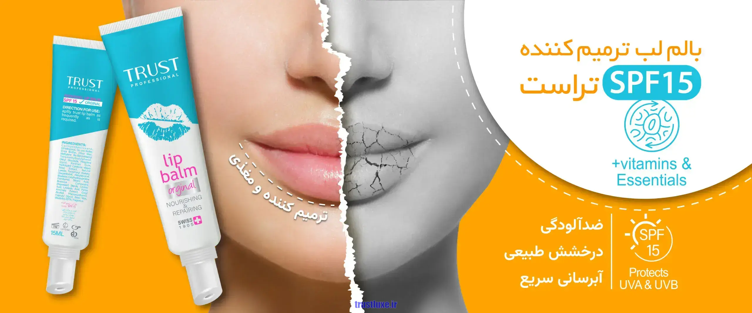 بالم لب 